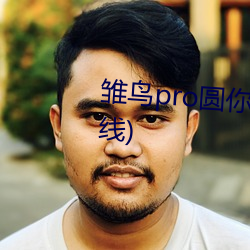雏鸟pro圆你一个莉莉梦(暂未上线)