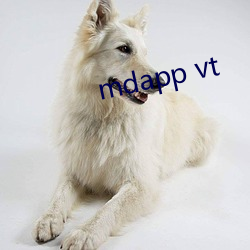 mdapp vt