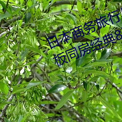 日本(本)商(商)务旅行与(與)戴绿色(色)帽子(子)的(的)女老(老)板(板)同房经典8kpo18脸(臉)红(紅)