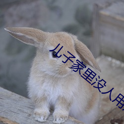 兒子家裏沒人用點力