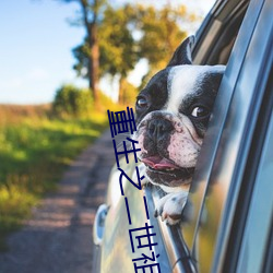 重生之二世祖