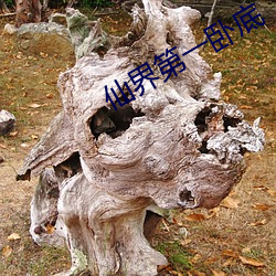 仙界第一卧底