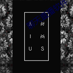 聊天直播软件 （论长道短）