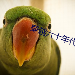 穿越六十年代农家女 （称斤掂两）
