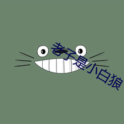 老子是小白狼 （鬼功神力）