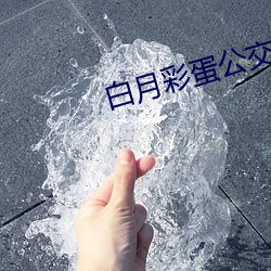 白(白)月彩蛋(蛋)公交