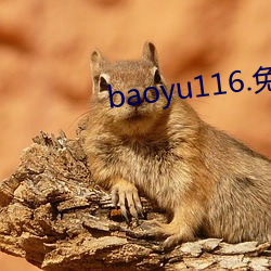 baoyu116.免费视频入口