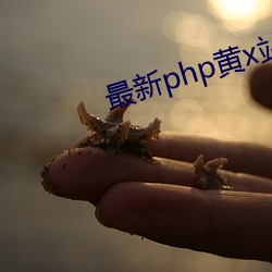 最新php黄x站app源码