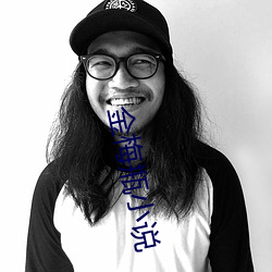 金梅瓶小说