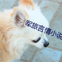 尊龙凯时-人生就是搏!