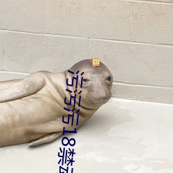 污污污18禁(jìn)动(dòng)插拔