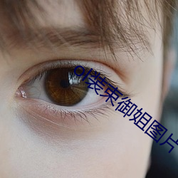 ol装束(shù)御(yù)姐图片