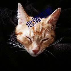 危(危)情电(電)影