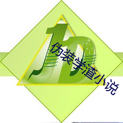 伪装学渣小说