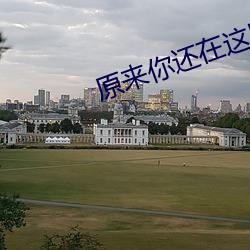原来你(nǐ)还(hái)在这里小说