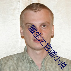 重生之(之)官道小说