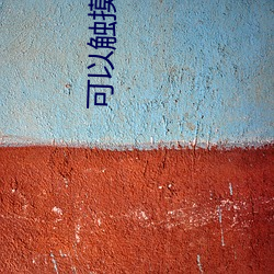 可以触(觸)摸人物(物)隐私的(的)三b游(遊)戏
