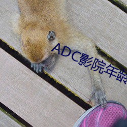 ADC影院年齡確認