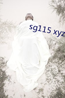 sg115 xyz