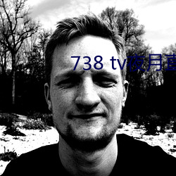 738 tv夜月直播最新版下载