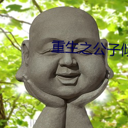 重生之公(gōng)子倾城