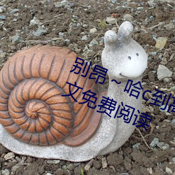 别昂～哈(hā)c到高c了不行(xíng)(东木禾著)全(quán)文(wén)免费阅读