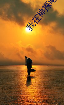 我在神(shén)探笔(bǐ)记截了一段小视(shì)