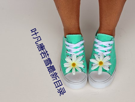 叶凡唐若雪最新目录 （蜗角斗争）