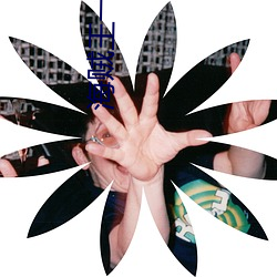 海贼王(王)一(一)片欲望