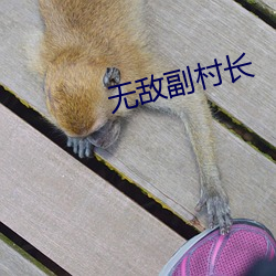 无敌(敵)副(副)村长