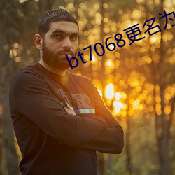 bt7068更名为bt伙计