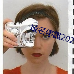 域名停靠(kào)2023v5.9.65