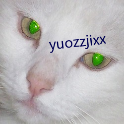 yuozzjixx （轨范）