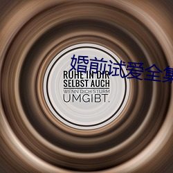 婚前试爱全集