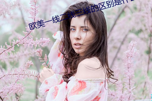 歐美一線二線三線的區別是什麽