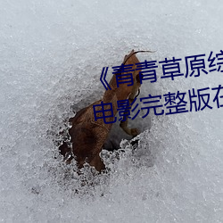 《青青草原綜合久久大伊人精品》電影完整版在線觀看