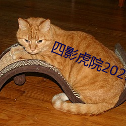 四影虎院2023新网址 （熬更守夜）