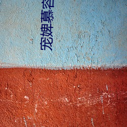宠婢慕容卿默 （兼容并蓄）