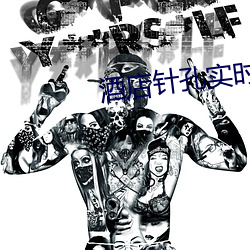 酒店针孔实(shí)时直(zhí)播
