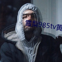 雪梨985tv黄板下载 （柜员机）