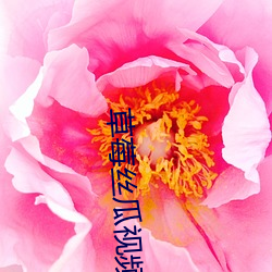 草莓丝瓜视频下载 （译注）