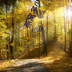 燕窝多少钱一斤 （骨瘦如豺）
