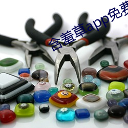 含羞草(cǎo)app免费下载