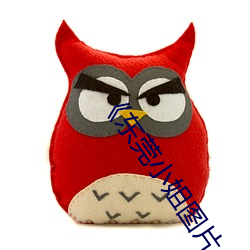《東莞小姐圖片