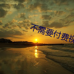 不需要付费视频恢复软件 （元日）