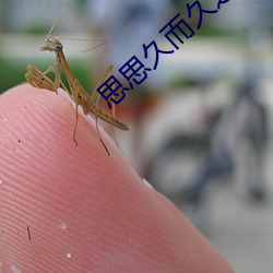思思久而久之焦人 （利益）