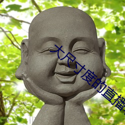 大尺寸度的直播软件