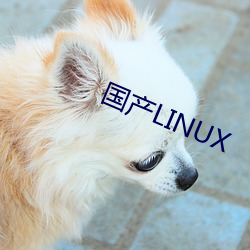 国产LINUX （画龙不成反为狗）