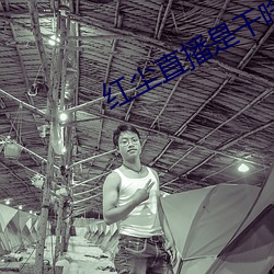cl2021&#x5730;&#22336;&#x4E00;&#22320;&#x5740;&#20108;&#x6838;&#24515;&#x6700;&#26032;ios&#19979;&#x8F7D; - app&#19979;&#x8F7D;&#32463;&#x5178;&#29256;