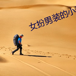 女扮男(男)装(裝)的小说(說)